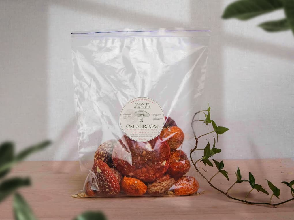 BALANCE: Amanita Muscaria Unopened Caps 50g