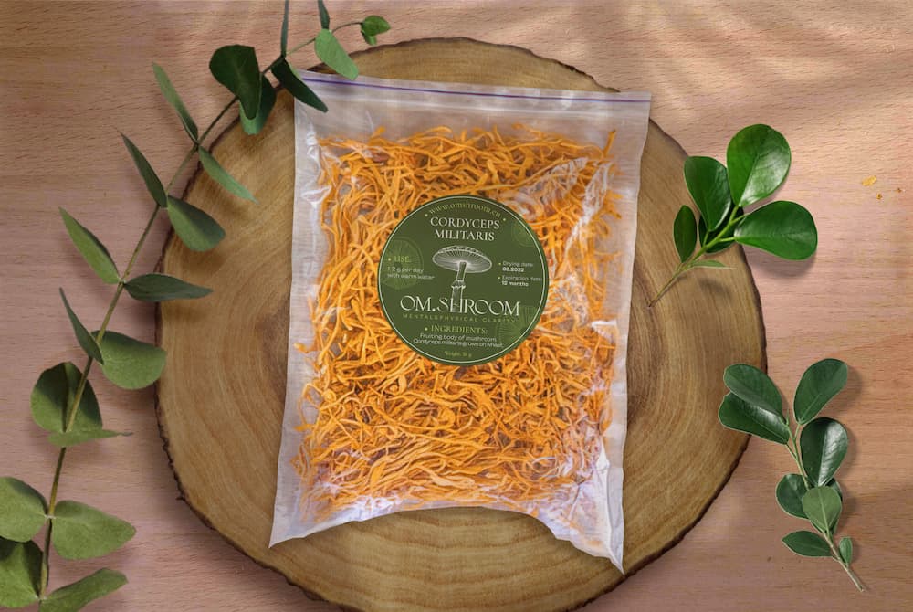 ENDURANCE: Cordyceps Militaris Fruiting Body