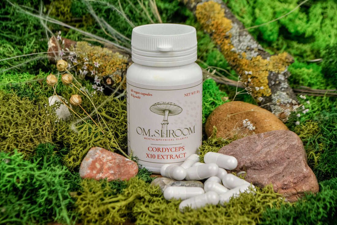 ENDURANCE: Cordyceps Extract Capsules