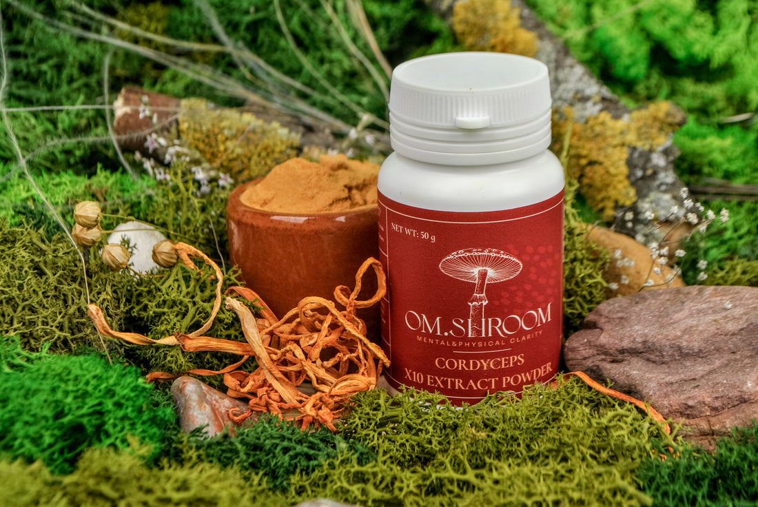 ENDURANCE: Cordyceps Extract Powder