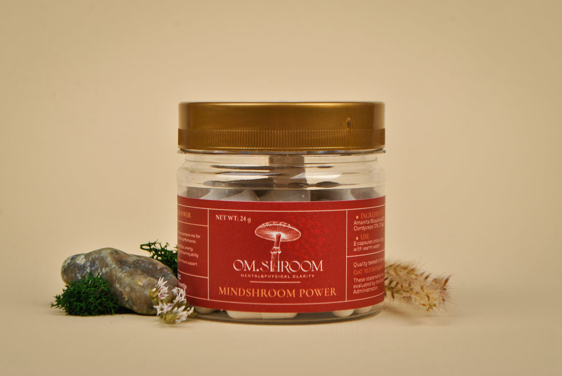 MINDSHROOM POWER