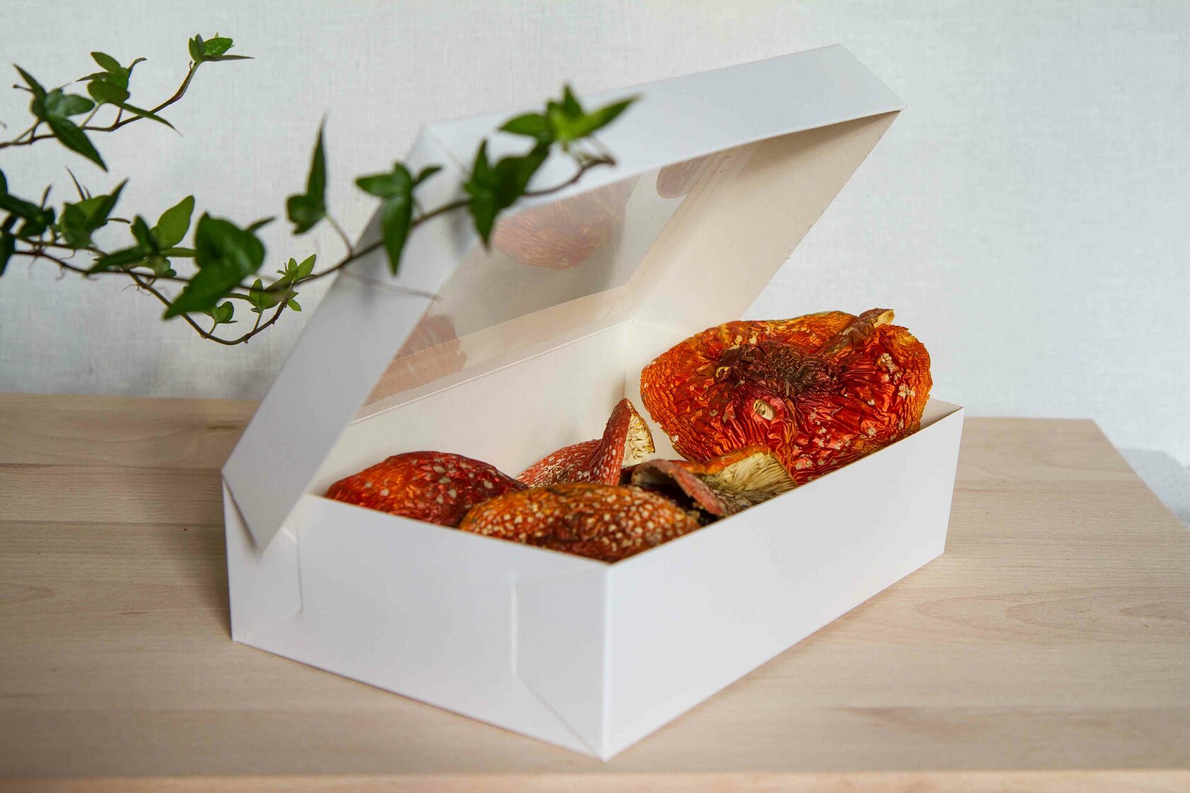 Whole selection dried caps of fly agaric