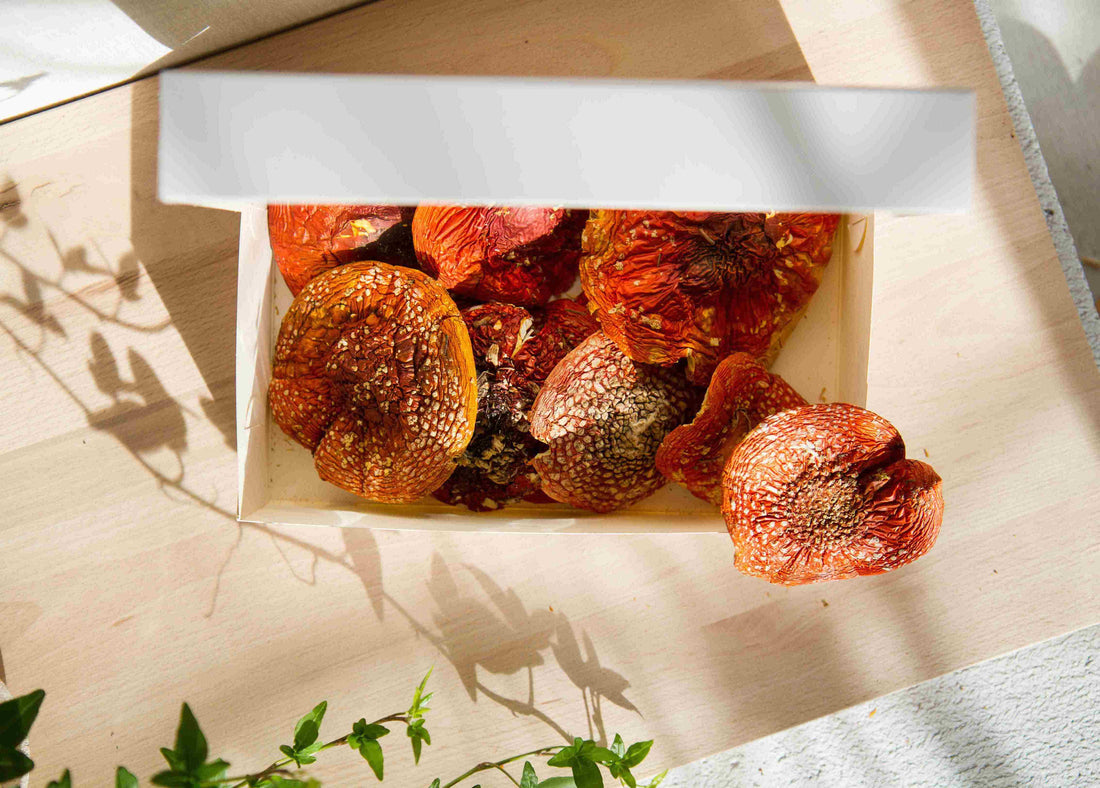 BALANCE: Amanita Muscaria VIP Caps 50g