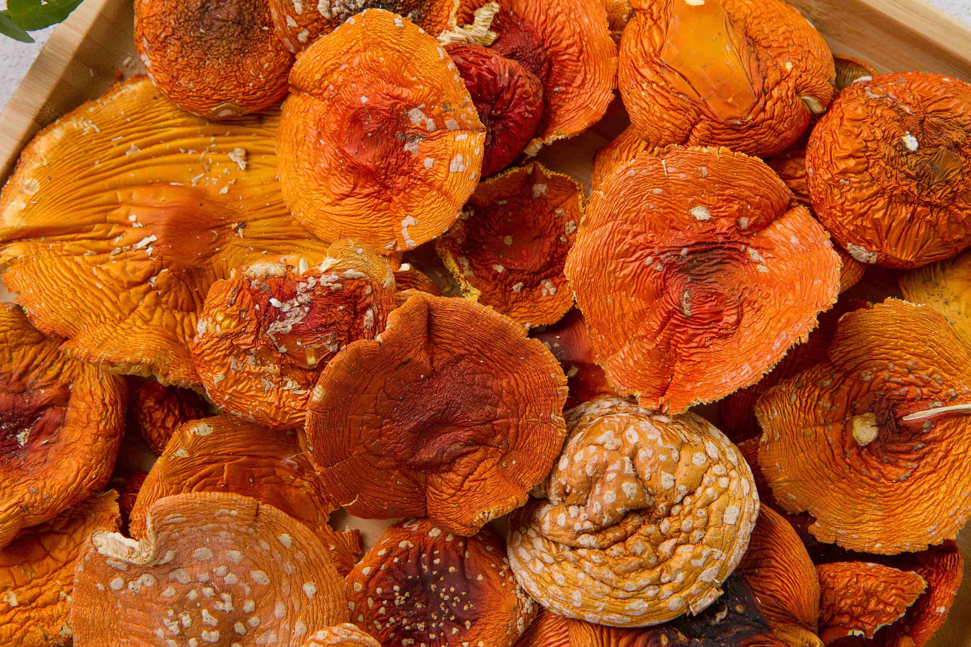 Dried amanita muscaria caps